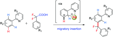 Graphical abstract: Pd(ii)-Catalyzed decarboxylative meta-C–H difluoromethylation