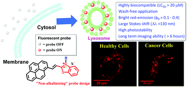 Graphical abstract: Red-emitting pyrene–benzothiazolium: unexpected selectivity to lysosomes for real-time cell imaging without alkalinizing effect