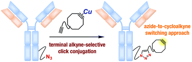 Graphical abstract: A facile preparation of functional cycloalkynes via an azide-to-cycloalkyne switching approach