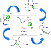 Graphical abstract: Photooxygenation of 2-propargylfurans: a path to structurally diverse nitrogen-containing 5-membered rings