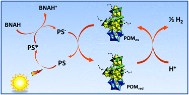 Graphical abstract: An unprecedented {Ni14SiW9} hybrid polyoxometalate with high photocatalytic hydrogen evolution activity