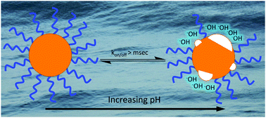 Graphical abstract: pH-Dependent structure of water-exposed surfaces of CdSe quantum dots