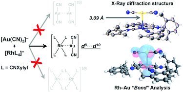Graphical abstract: d8⋯d10 RhI⋯AuI interactions in Rh 2,6-xylylisocyanide complexes with [Au(CN)2]−: bond analysis and crystal effects