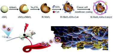 Graphical abstract: A cancer cell membrane-encapsulated MnO2 nanoreactor for combined photodynamic-starvation therapy