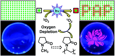 Graphical abstract: Photo-writing self-erasable phosphorescent images using poly(N-vinyl-2-pyrrolidone) as a photochemically deoxygenating matrix