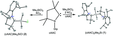 Graphical abstract: Synthesis of cAAC stabilized biradical of “Me2Si” and “Me2SiCl” monoradical from Me2SiCl2 – an important feedstock material