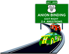 Graphical abstract: The road to aryl CH⋯anion binding was paved with good intentions: fundamental studies, host design, and historical perspectives in CH hydrogen bonding