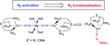 Graphical abstract: Cobalt(-i) triphos dinitrogen complexes: activation and silyl-functionalisation of N2
