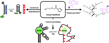 Graphical abstract: Simple alkanoyl acylating agents for reversible RNA functionalization and control