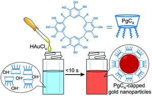 Graphical abstract: Facile, one-pot, in aqua synthesis of catalytically competent gold nanoparticles using pyrogallol[4]arene as the sole reagent