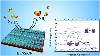 Graphical abstract: Electrocatalytic N2-to-NH3 conversion with high faradaic efficiency enabled using a Bi nanosheet array