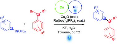 Graphical abstract: Dual copper- and photoredox-catalysed C(sp2)–C(sp3) coupling