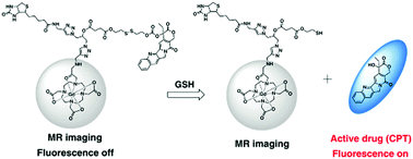 Graphical abstract: A gadolinium-complex-based theranostic prodrug for in vivo tumour-targeted magnetic resonance imaging and therapy