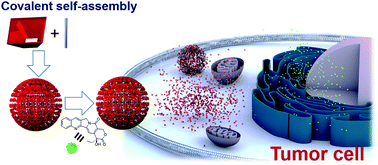 Graphical abstract: Self-assembly of stimuli-responsive imine-linked calix[4]arene nanocapsules for targeted camptothecin delivery