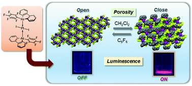 Graphical abstract: Fluorinated porous molecular crystals: vapor-triggered on–off switching of luminescence and porosity
