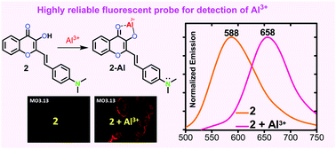 Graphical abstract: A bright red-emitting flavonoid for Al3+ detection in live cells without quenching ICT fluorescence