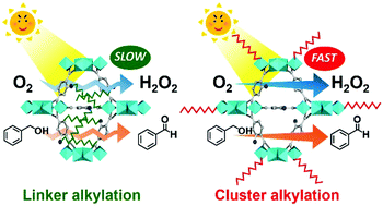 Graphical abstract: Ti cluster-alkylated hydrophobic MOFs for photocatalytic production of hydrogen peroxide in two-phase systems