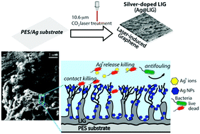 Graphical abstract: Silver-doped laser-induced graphene for potent surface antibacterial activity and anti-biofilm action
