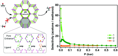 Graphical abstract: A robust etb-type metal–organic framework showing polarity-exclusive adsorption of acetone over methanol for their azeotropic mixture