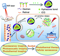 Graphical abstract: pH-sensitive loaded retinal/indocyanine green micelles as an “all-in-one” theranostic agent for multi-modal imaging in vivo guided cellular senescence-photothermal synergistic therapy