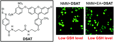 Graphical abstract: Fluorescence detection of glutathione S-transferases in a low GSH level environment