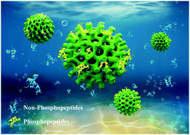 Graphical abstract: Viral capsid-like titania for selective enrichment of phosphorylated peptides
