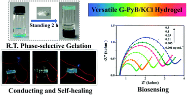 Graphical abstract: A multifunctional self-healing G-PyB/KCl hydrogel: smart conductive, rapid room-temperature phase-selective gelation, and ultrasensitive detection of alpha-fetoprotein