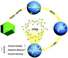 Graphical abstract: Crackled nanocapsules: the “imperfect” structure for enzyme immobilization