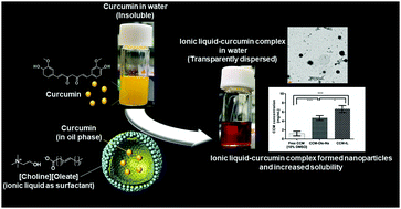 Graphical abstract: Development of a novel ionic liquid–curcumin complex to enhance its solubility, stability, and activity