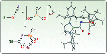 Graphical abstract: Synthesis of metallophosphaalkenes by reaction of organometallic nucleophiles with a phosphaethynolato-borane