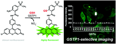 Graphical abstract: A highly selective fluorogenic substrate for imaging glutathione S-transferase P1: development and cellular applicability in epigenetic studies