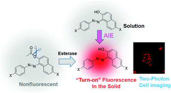 Graphical abstract: Unusual fluorescence of o-phenylazonaphthol derivatives with aggregation-induced emission and their use in two-photon cell imaging