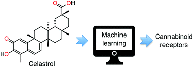 Graphical abstract: Dissecting celastrol with machine learning to unveil dark pharmacology