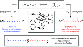 Graphical abstract: Switchable living nickel(ii) α-diimine catalyst for ethylene polymerisation