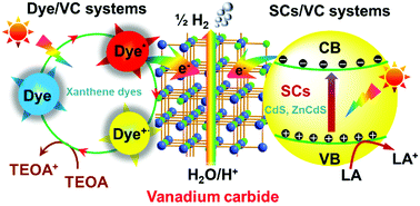 Graphical abstract: Vanadium carbide: an efficient, robust, and versatile cocatalyst for photocatalytic hydrogen evolution under visible light