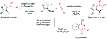 Graphical abstract: Rhodium(iii)-catalysed carboxylate-directed C–H functionalizations of isoxazoles with alkynes