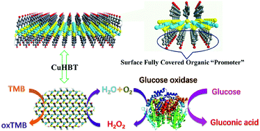 Graphical abstract: 2D metal chalcogenides with surfaces fully covered with an organic “promoter” for high-performance biomimetic catalysis