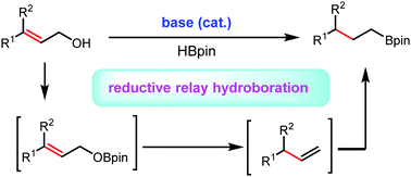 Graphical abstract: Base-catalysed reductive relay hydroboration of allylic alcohols with pinacolborane to form alkylboronic esters