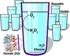 Graphical abstract: Self-deoxygenating glassware