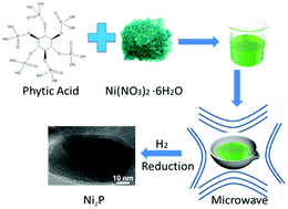 Graphical abstract: Microwave assisted combustion of phytic acid for the preparation of Ni2P@C as a robust catalyst for hydrodechlorination