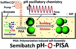 Graphical abstract: Evolving polymersomes autonomously generated in and regulated by a semibatch pH oscillator