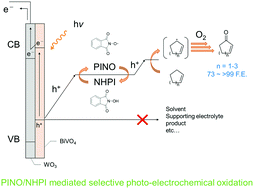 Graphical abstract: PINO/NHPI-mediated selective oxidation of cycloalkenes to cycloalkenones via a photo-electrochemical method