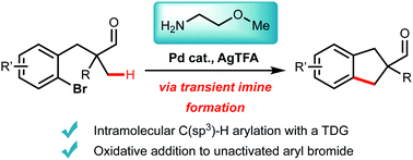 Graphical abstract: Intramolecular palladium(ii)/(iv) catalysed C(sp3)–H arylation of tertiary aldehydes using a transient imine directing group