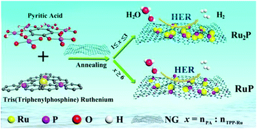 Graphical abstract: Controllable fabrication of uniform ruthenium phosphide nanocrystals for the hydrogen evolution reaction