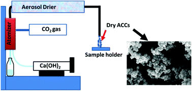 Graphical abstract: Aerosol-based synthesis of pure and stable amorphous calcium carbonate