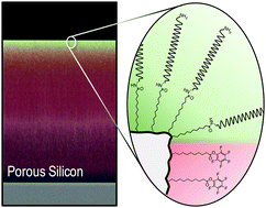 Graphical abstract: Differential functionalisation of the internal and external surfaces of carbon-stabilised nanoporous silicon