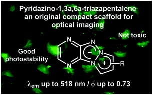 Graphical abstract: An original class of small sized molecules as versatile fluorescent probes for cellular imaging