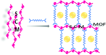 Graphical abstract: Single-chain magnets assembled in cobalt(ii) metal–organic frameworks