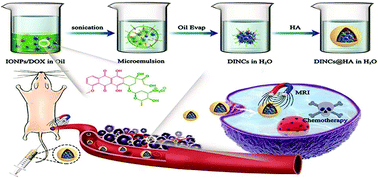 Graphical abstract: Vehicle-saving theranostic probes based on hydrophobic iron oxide nanoclusters using doxorubicin as a phase transfer agent for MRI and chemotherapy