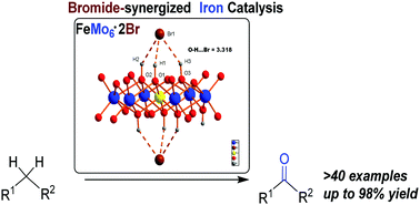Graphical abstract: Iron-catalyzed oxidative functionalization of C(sp3)–H bonds under bromide-synergized mild conditions